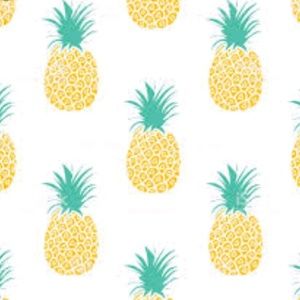 Meet your Posher, Pattie